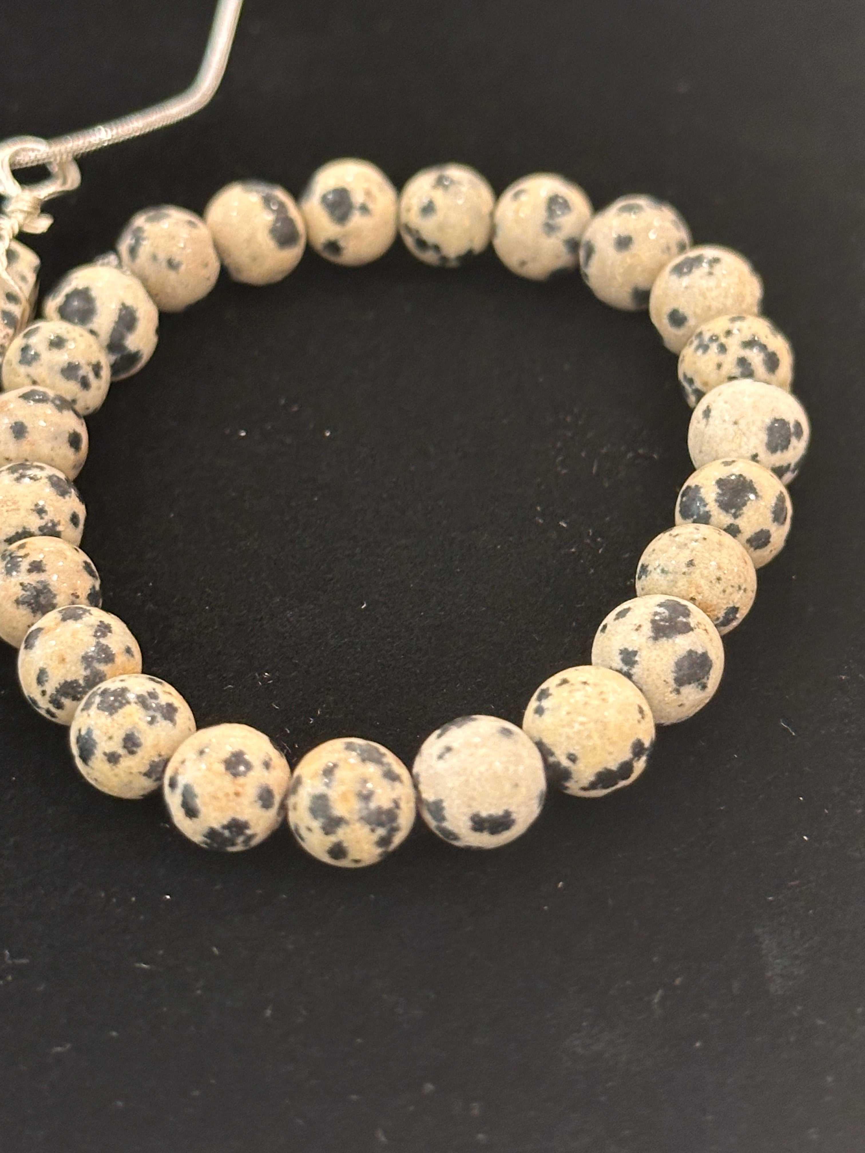 Bundle Set of Dalmatian Jasper