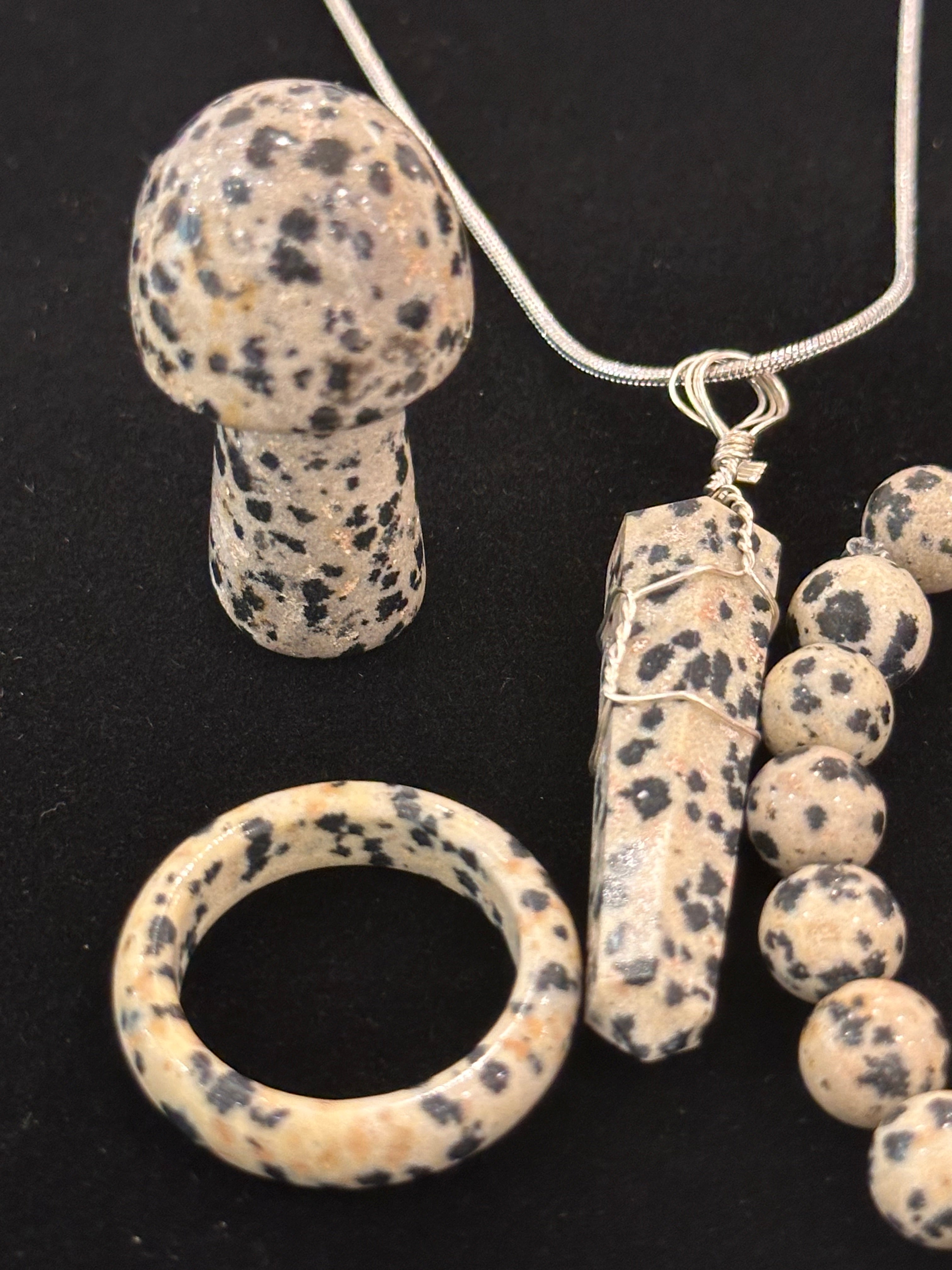 Bundle Set of Dalmatian Jasper