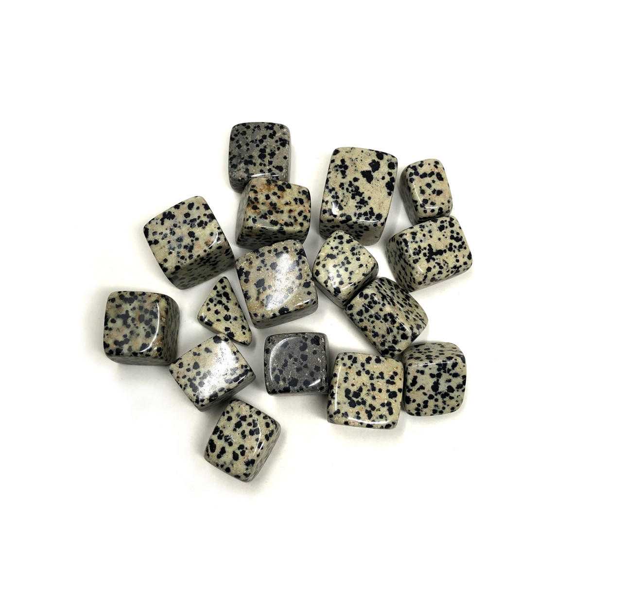 Tumbled Stone Dalmatian Jasper (3/4"-1.5")