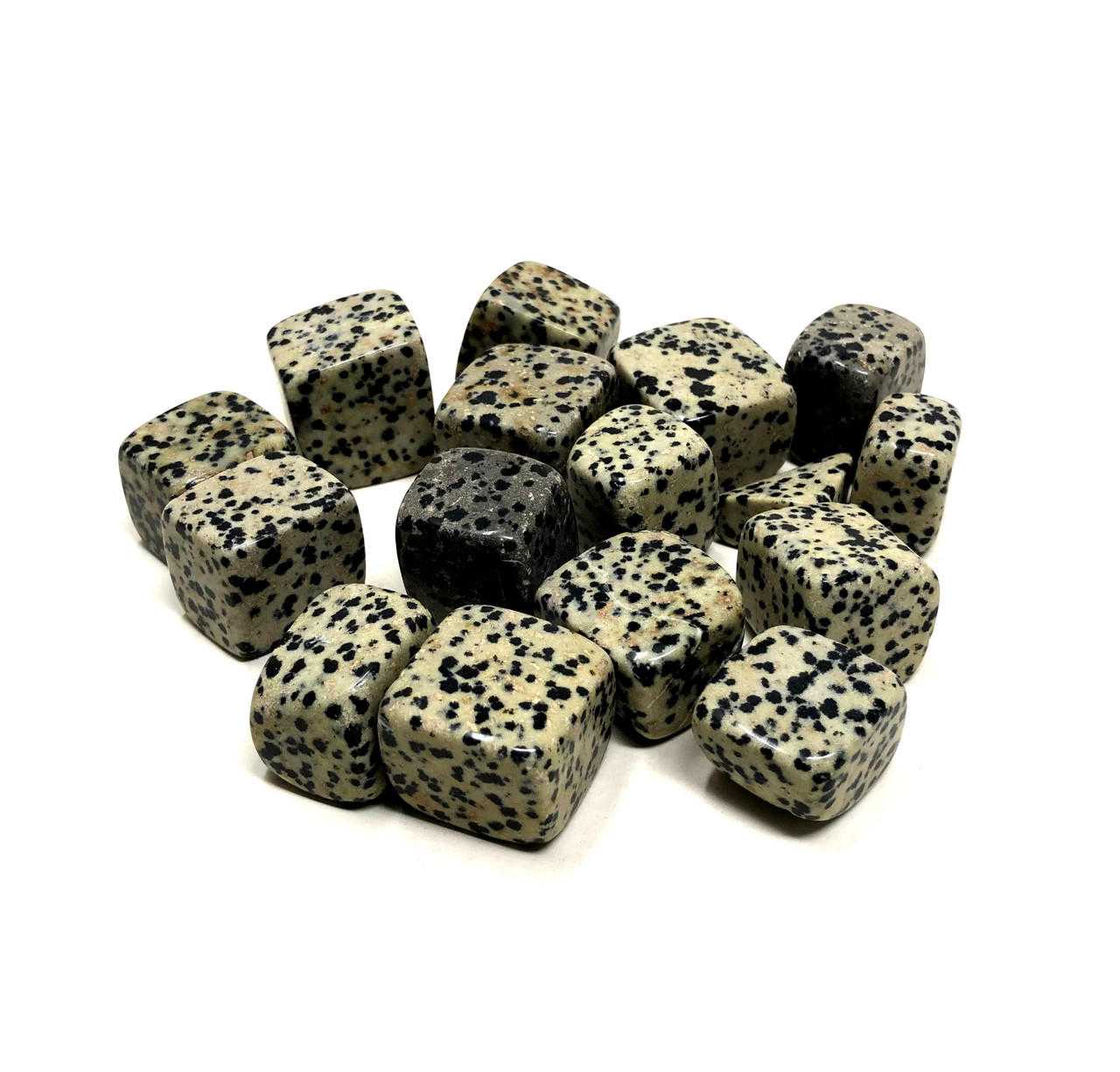 Tumbled Stone Dalmatian Jasper (3/4"-1.5")